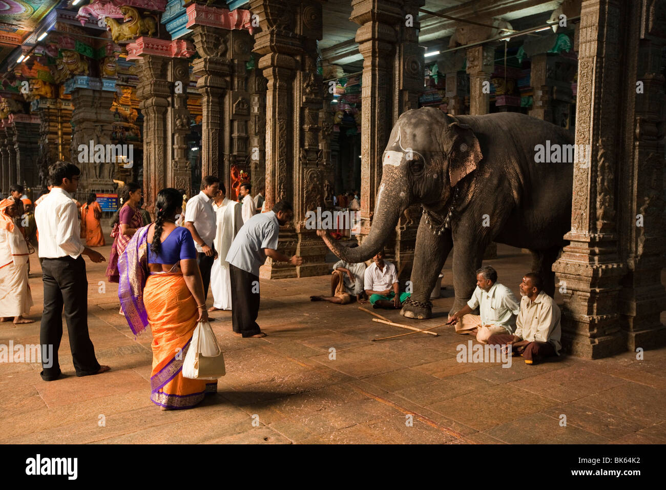 L'Inde, le Tamil Nadu, Madurai, Sri Meenakshi Temple intérieur, de l'adorateur de bénédiction de l'éléphant Banque D'Images