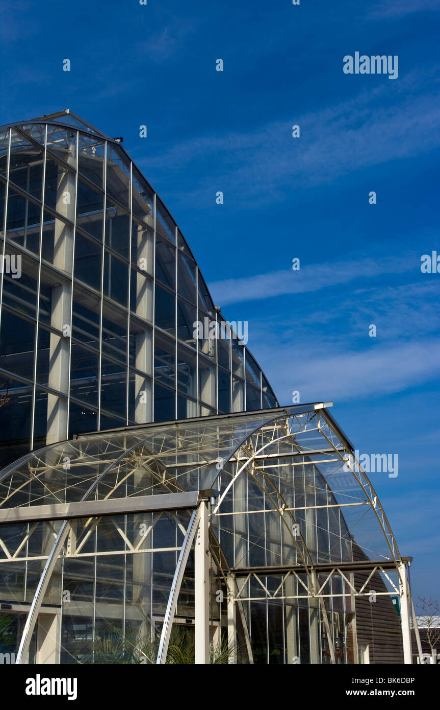 Le Glasshouse RHS Wisley Gardens Surrey England Banque D'Images