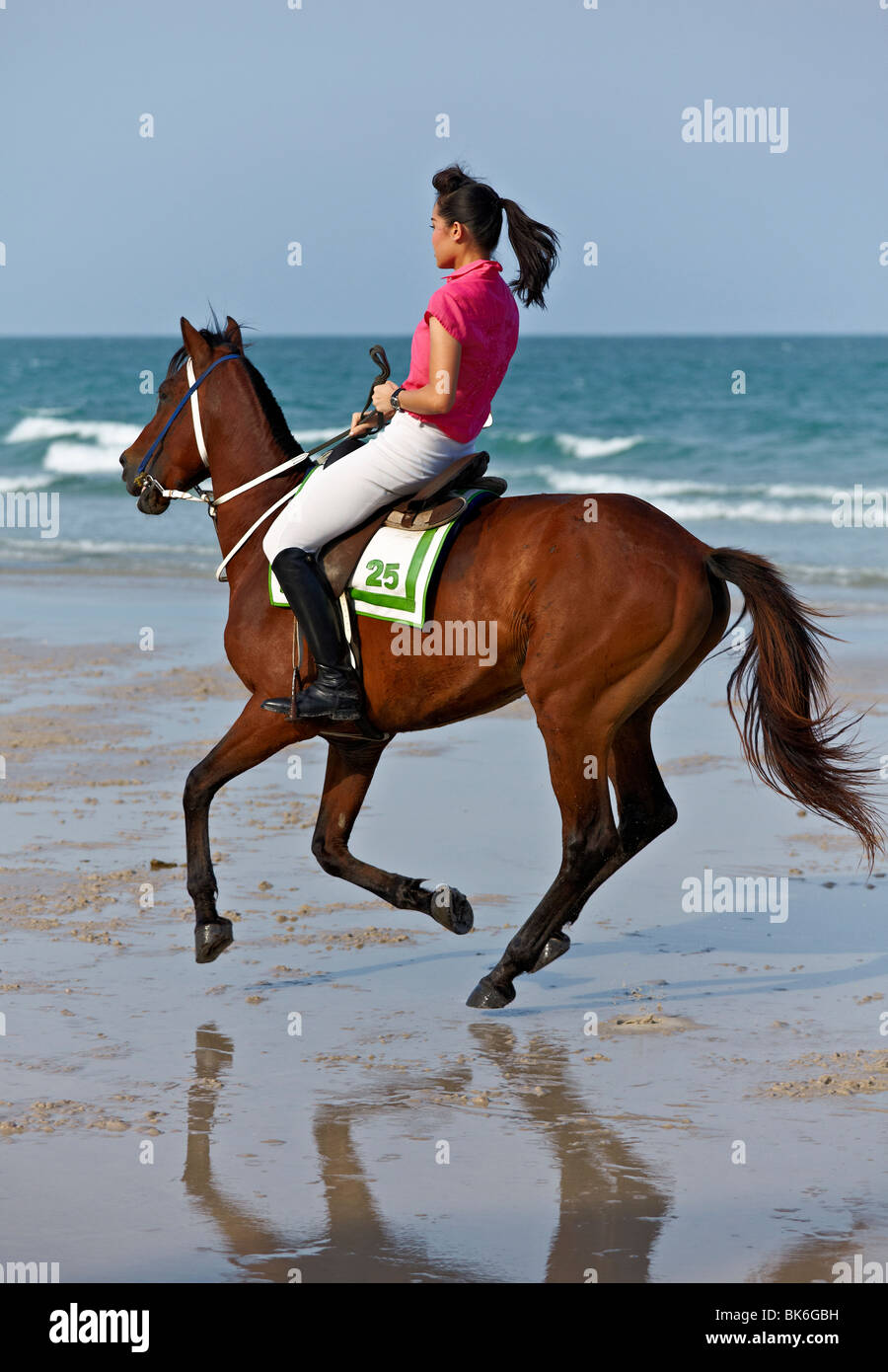Femme à cheval et au galop le long d'une plage tropicale. S. E. Asie Thaïlande Banque D'Images
