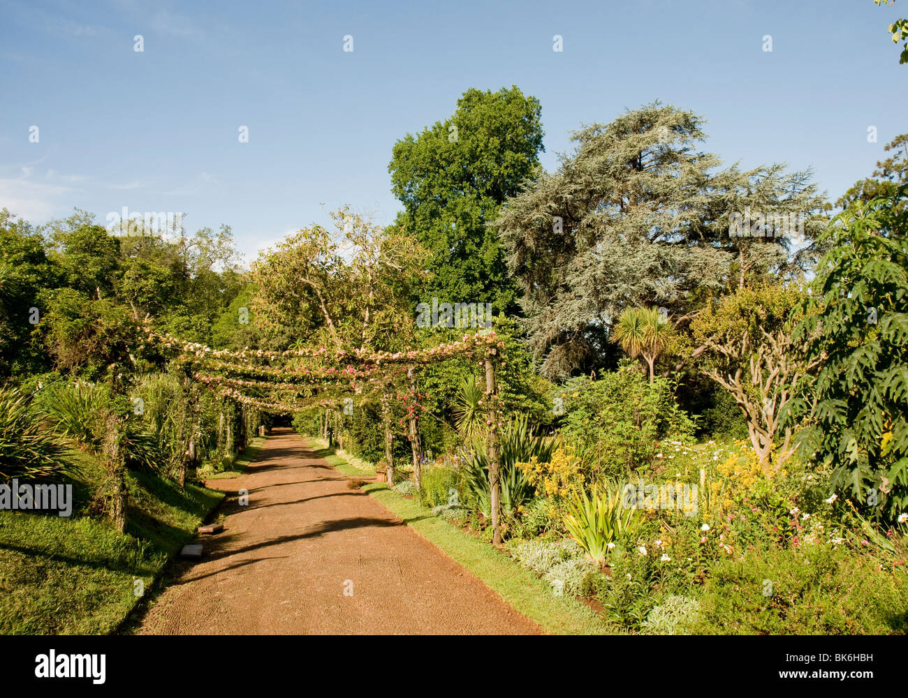 Les jardins de la Quinta do Palheiro Ferreiro estate, sur l'île de Madère. Banque D'Images