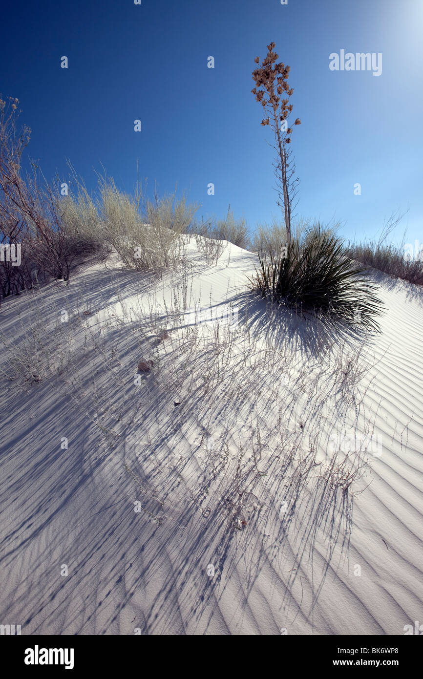 Parc National de White Sands, au Nouveau Mexique Banque D'Images