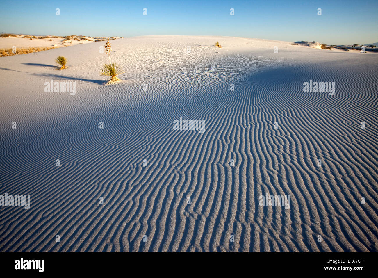 White Sands National Monument, Nouveau-Mexique Banque D'Images