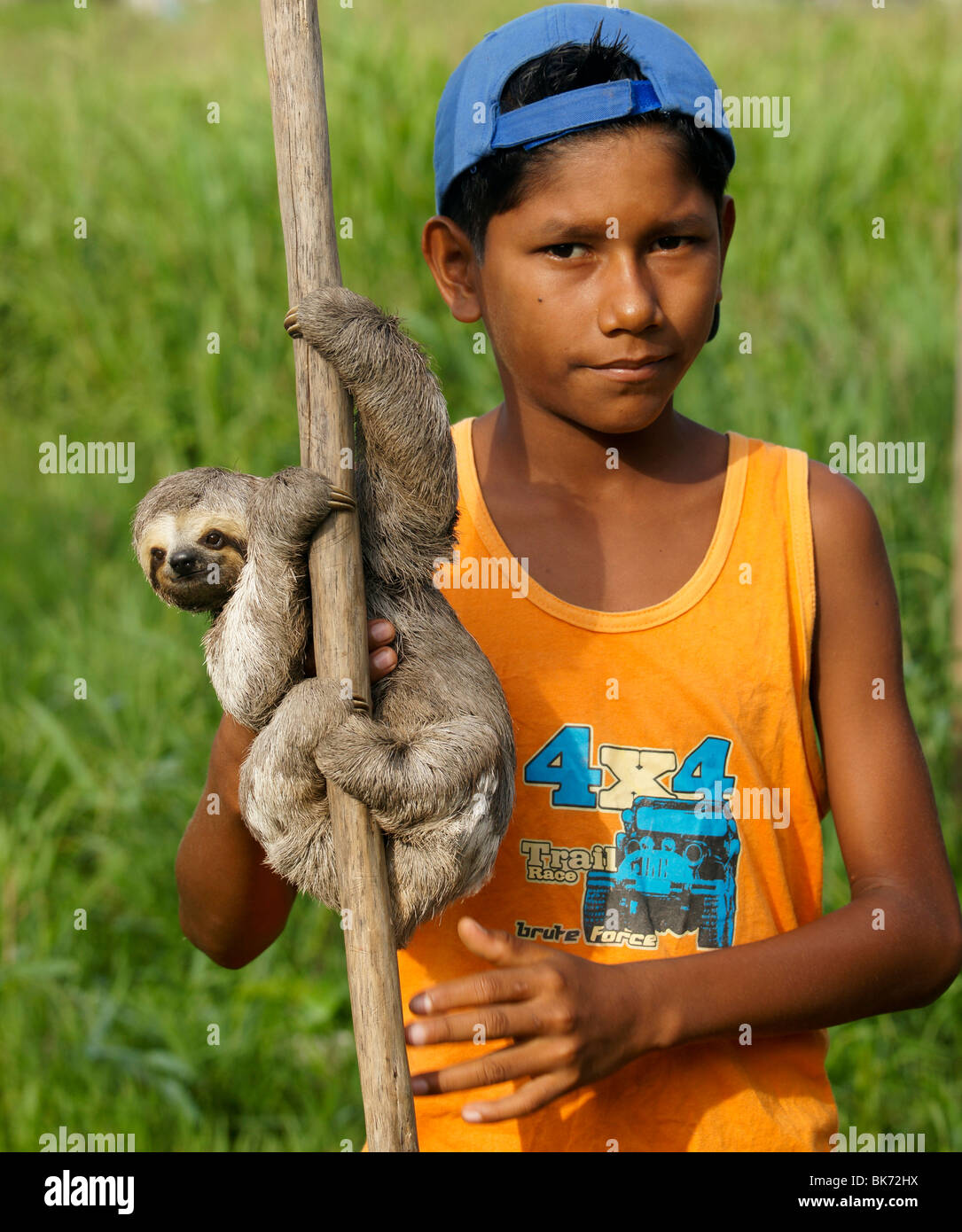 Jeune garçon natif avec animaux de sloth. Boca Da Valeria, au Brésil. Amazon River Banque D'Images