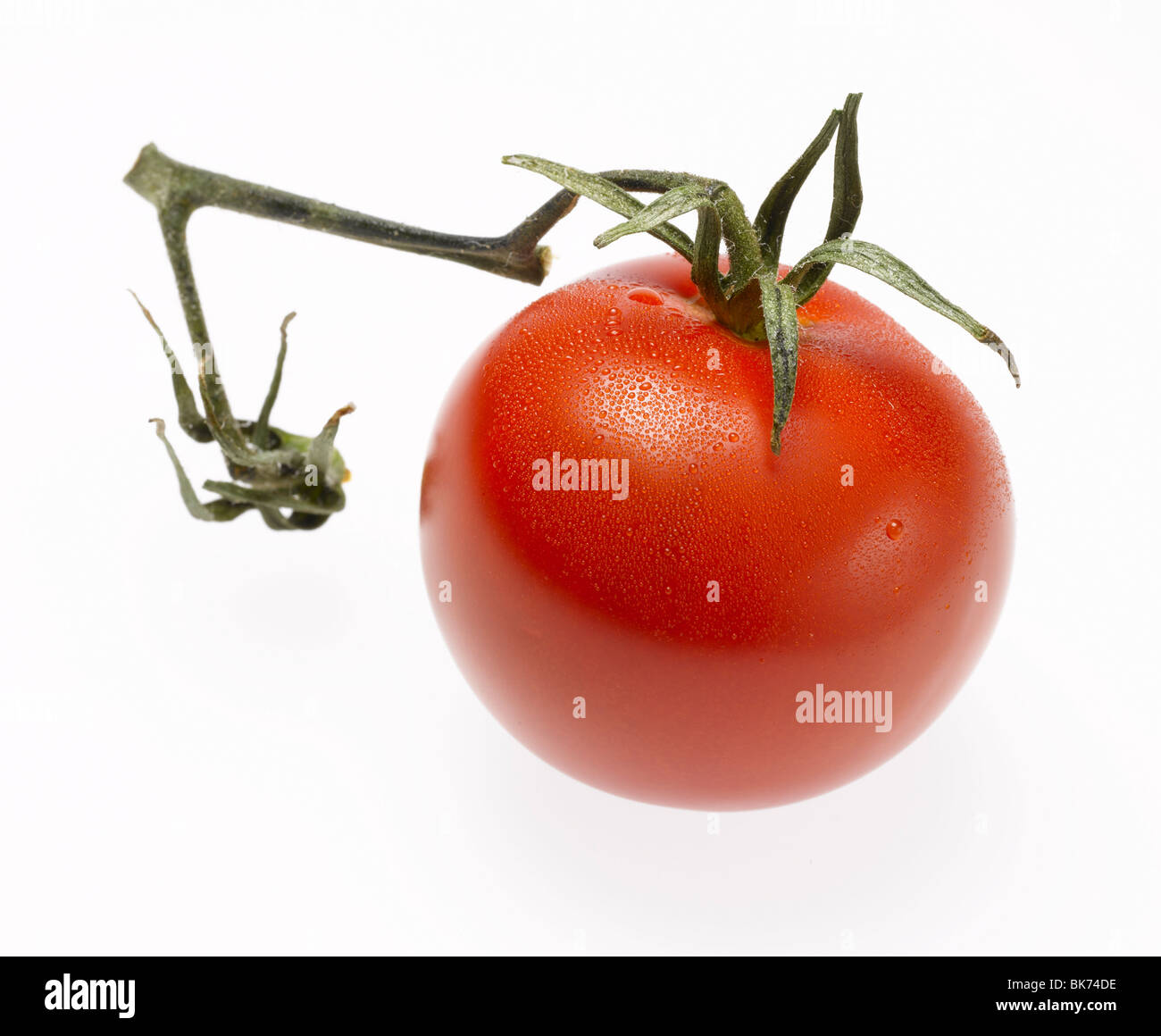 Tomate cerise rouge vert avec haut et tige sur fond blanc Banque D'Images