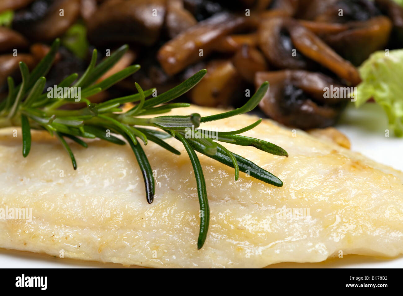 Seul le poisson grillé aux champignons et aux fines herbes Banque D'Images