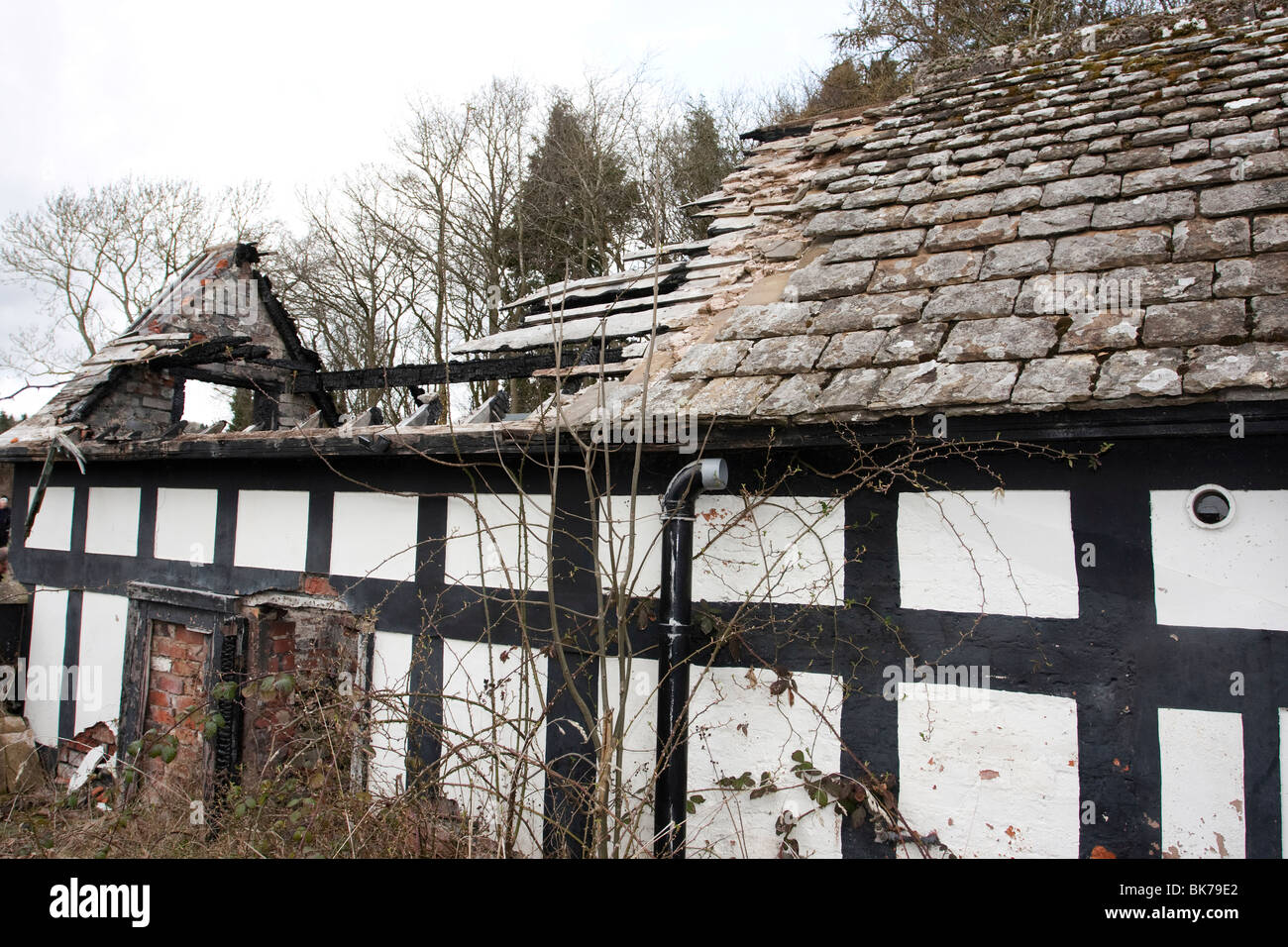 Toit effondré sur un ancien bâtiment agricole en noir et blanc Banque D'Images