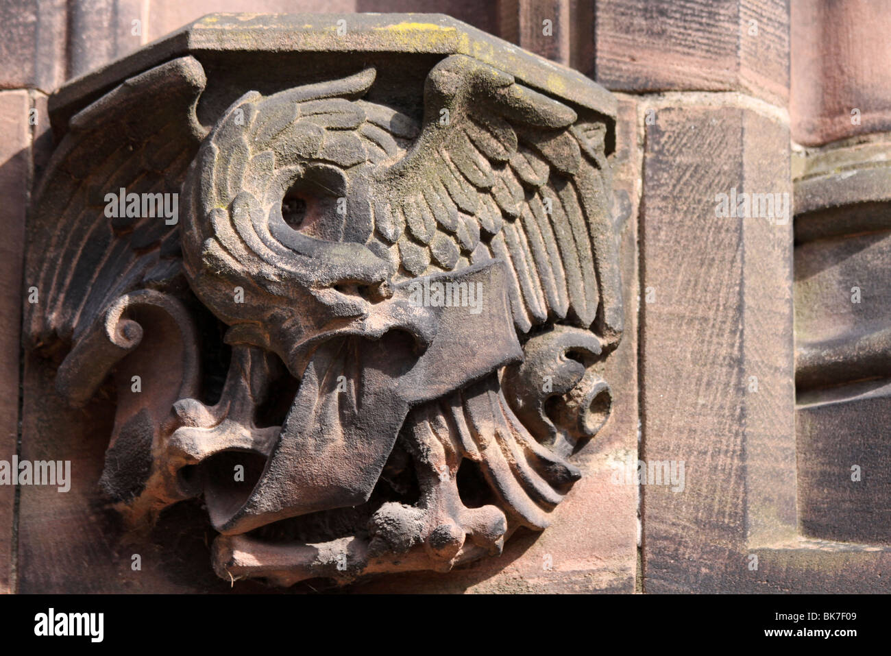Gargoyle Griffin à la cathédrale de Chester, Cheshire, Royaume-Uni Banque D'Images