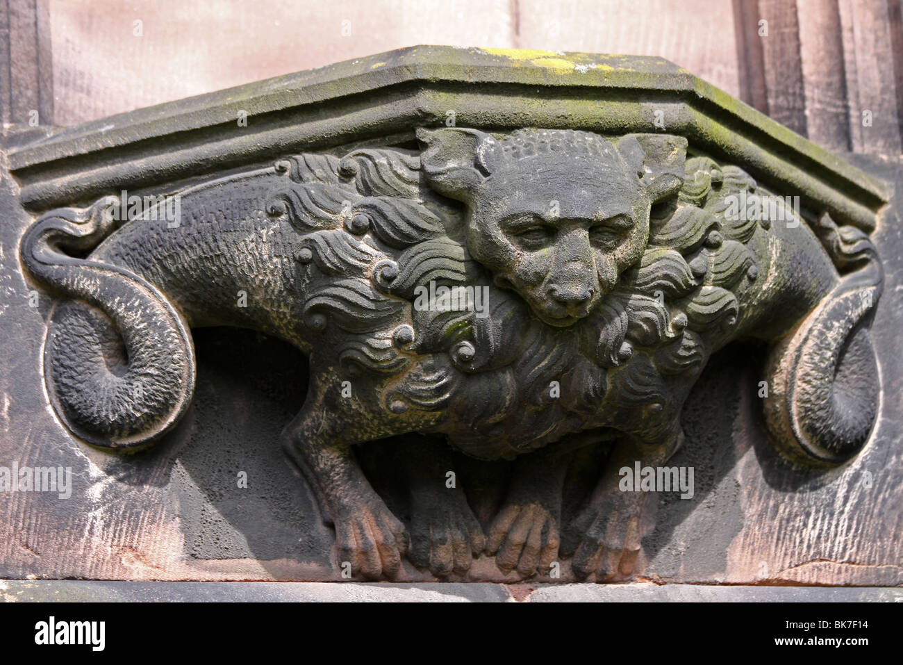 Lion gargouille à la cathédrale de Chester, Cheshire, Royaume-Uni Banque D'Images
