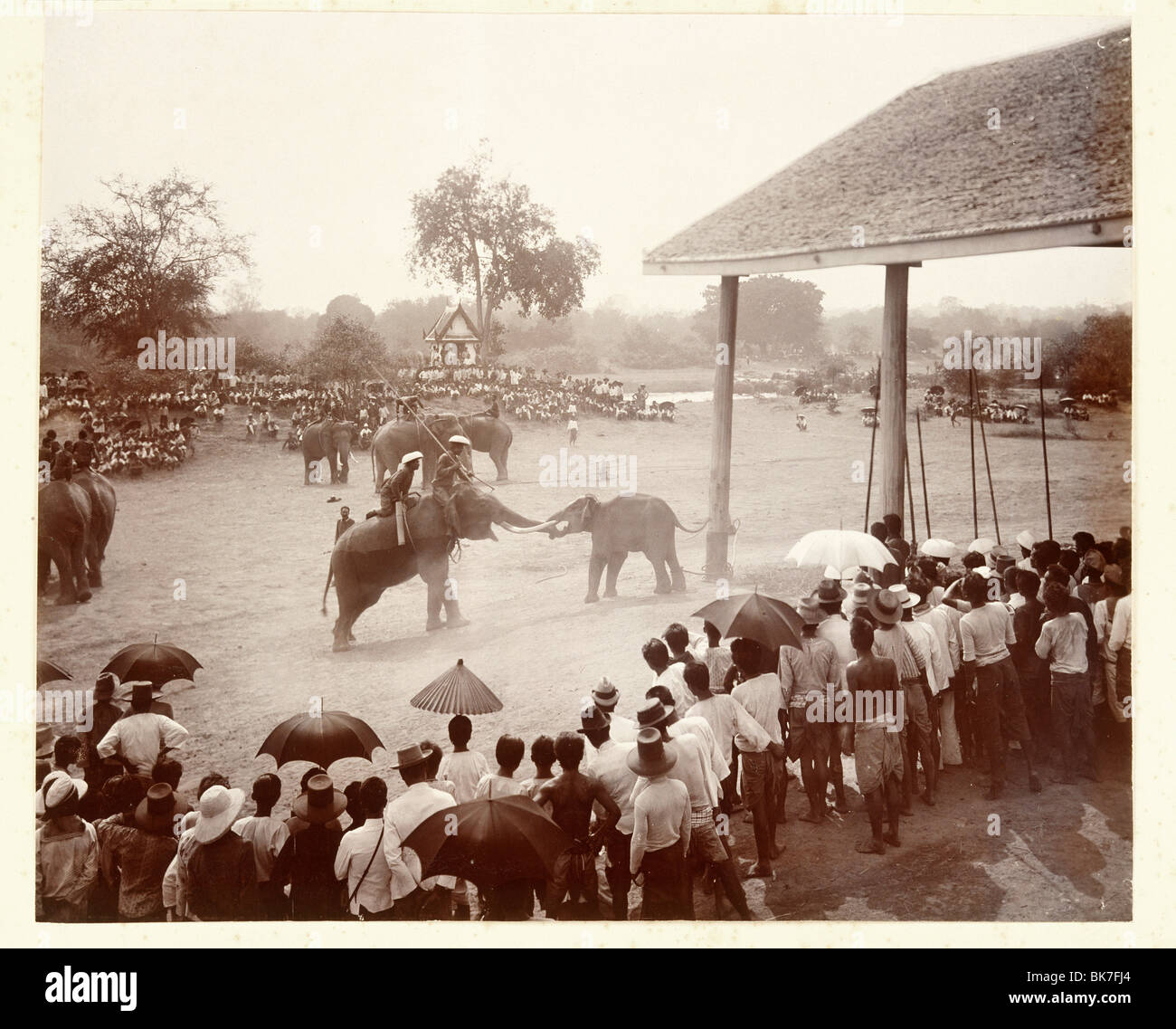 Phtoograph d'éléphant Royal Hunt à Ayutthaya, vers 1890, en Thaïlande, en Asie du Sud-Est, l'Asie Banque D'Images