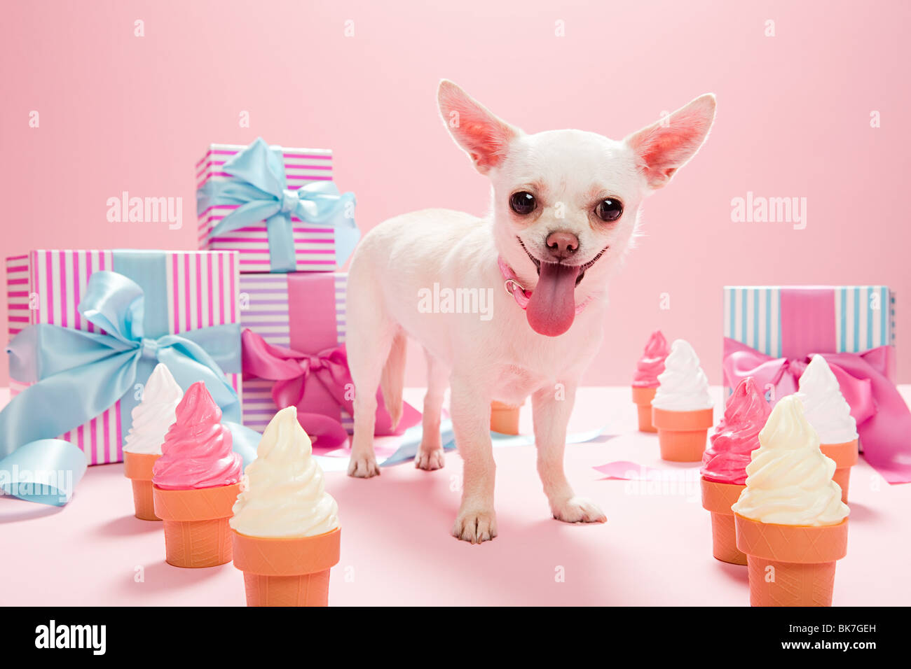 Anniversaire De Compagnie Banque D Image Et Photos Alamy Anniversaire De Compagnie Banque D Image Et Photos Alamy