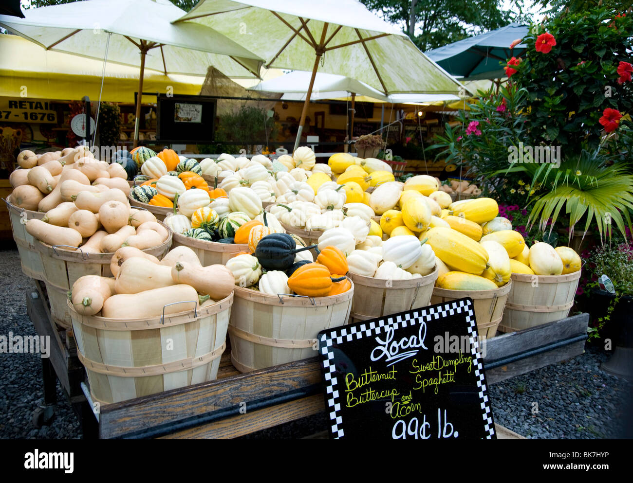 Différentes variétés de courges en vente sur un stand de la ferme à ...