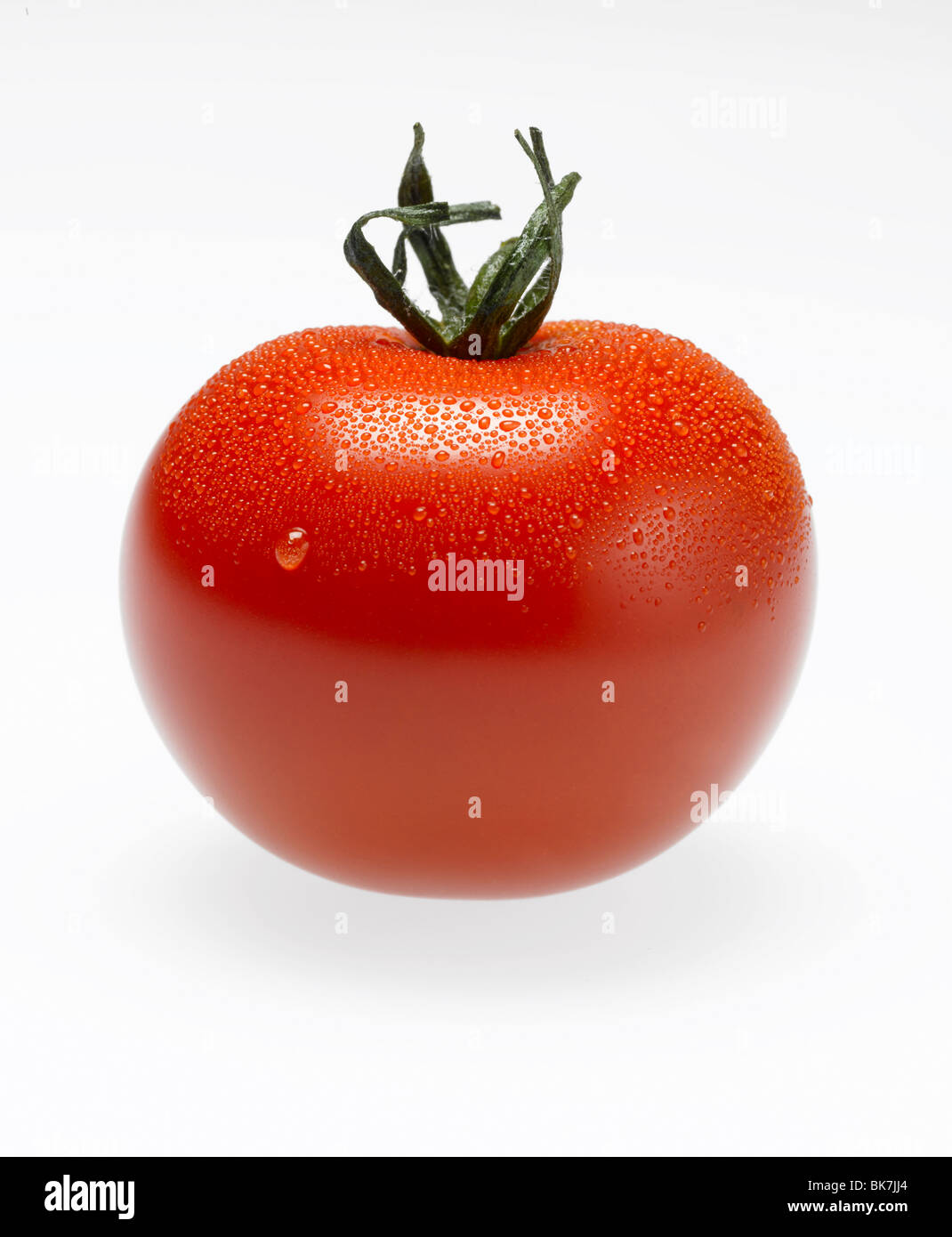 Tomates avec tige verte sur fond blanc Banque D'Images