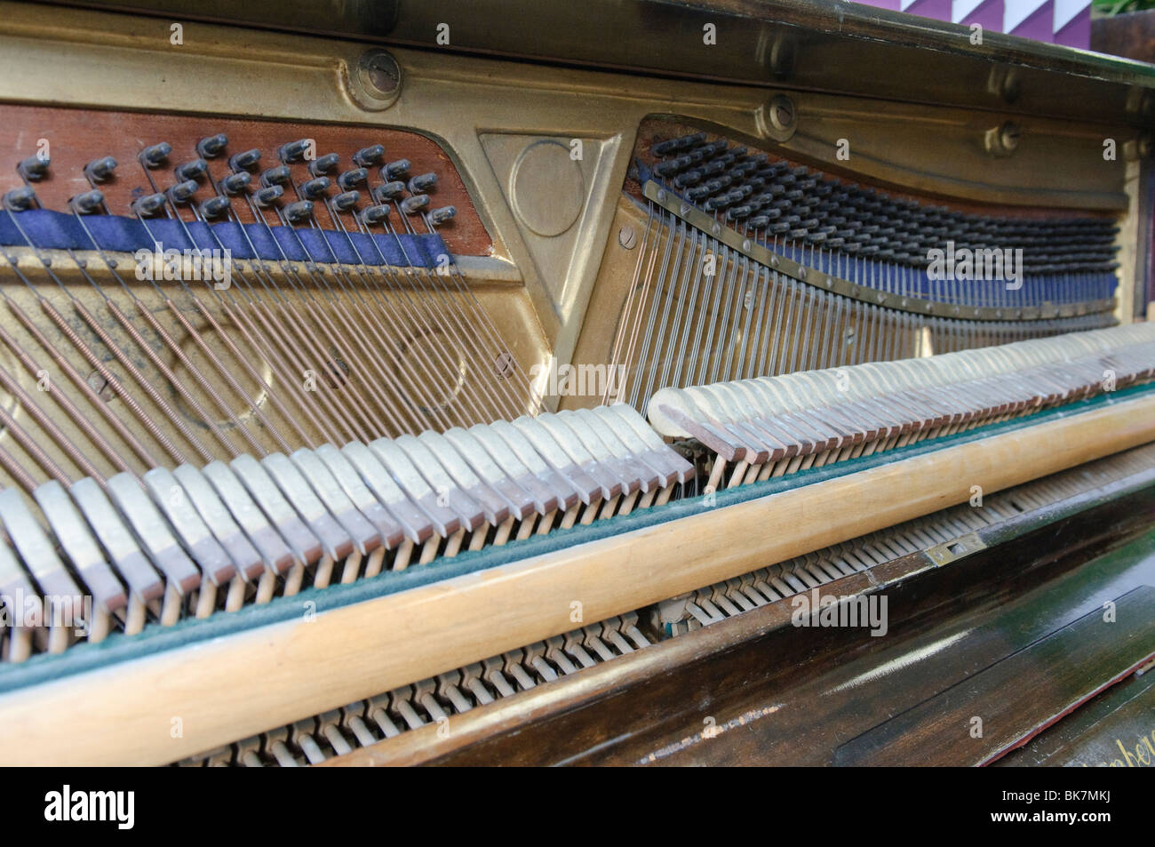 Les cordes et les marteaux d'un vieux piano Banque D'Images
