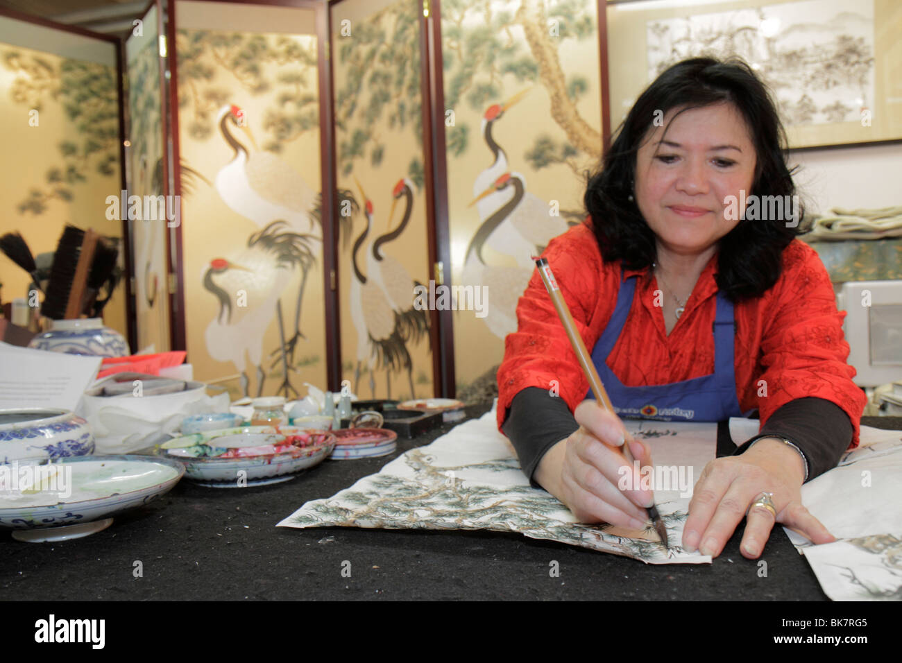 Alexandria Virginia,Vieille ville,Torpedo Factory Art Center,artiste en résidence,Jamaliah Morais,peinture orientale,aquarelle,travail,travail,adulte Banque D'Images