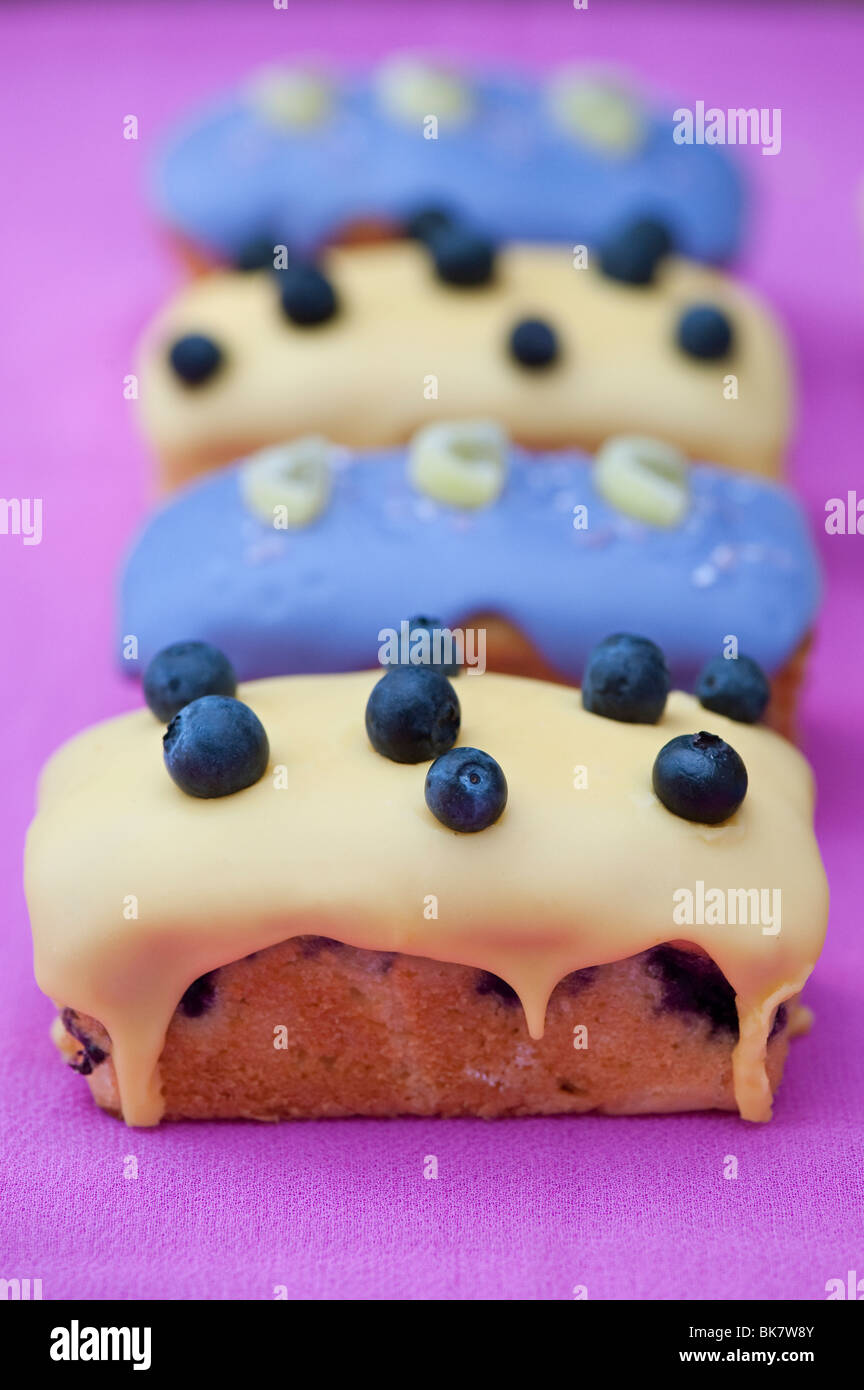 Blueberry fait maison et de citron gâteaux individuels Banque D'Images