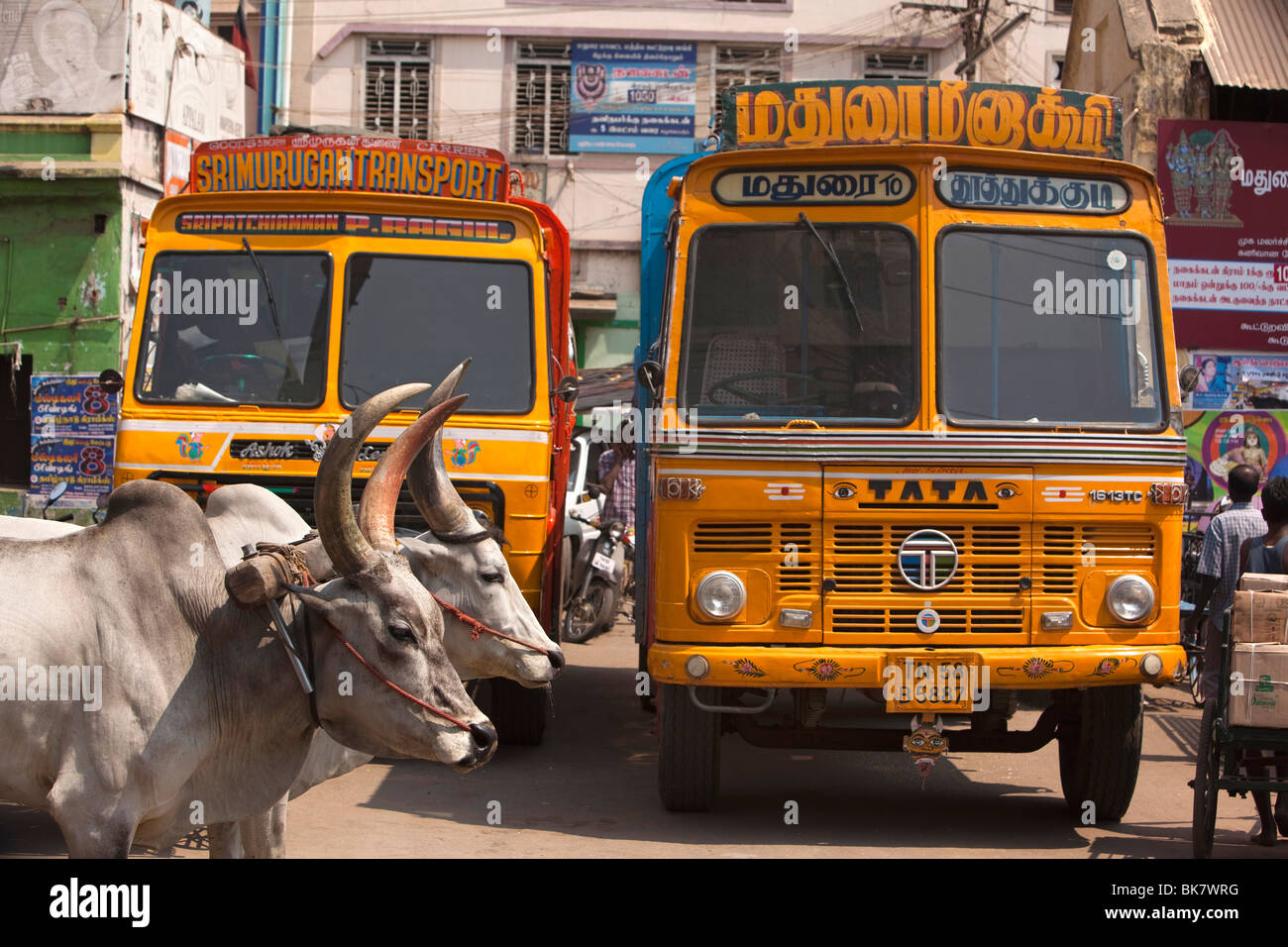 L'Inde, le Tamil Nadu, Madurai, trafic routier, charrette passant des camions de transport Banque D'Images