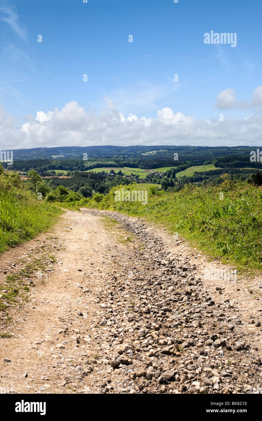 L'ensemble du sentier Bridleway North Downs Way dans les collines du Surrey, Newlands Corner, Surrey, England, UK Banque D'Images