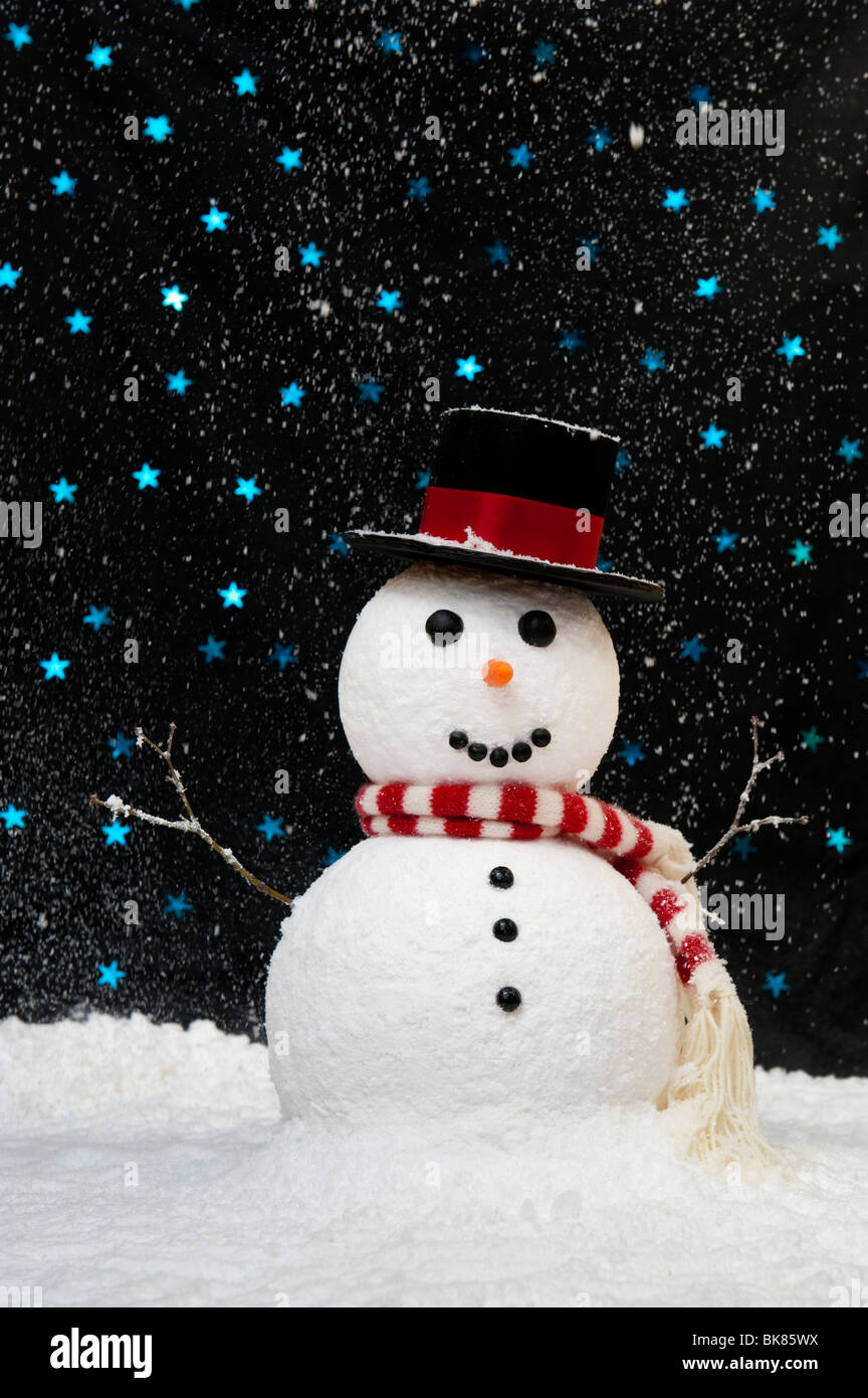 Bonhomme de neige dans le ciel nocturne étoilé contre concept with copy space Banque D'Images Bonhomme de neige dans le ciel nocturne étoilé contre concept with copy space Banque D'Images