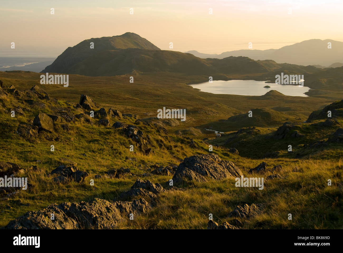 Cnicht de Ysgafell Wen dans la gamme Moelwyn, Snowdonia, le Nord du Pays de Galles, Royaume-Uni Banque D'Images