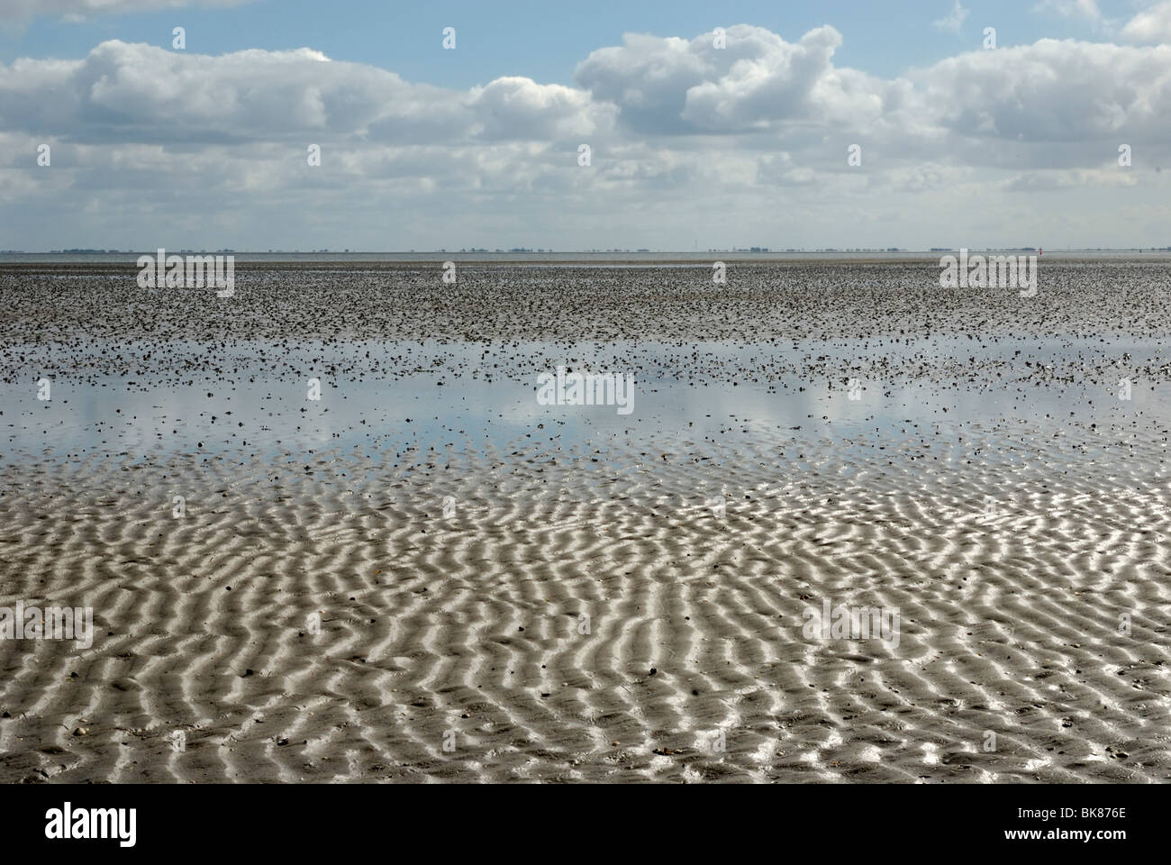 Les vasières à marée basse en face de la péninsule Eiderstedt, Pellworm, îles frisonnes du Nord, district de Frise du Nord, Schleswig Banque D'Images