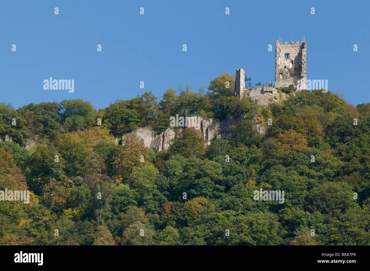 Ruines de Drachenfels fraîchement rénové, rocher du dragon, avec la sécurisation de rock bien en vue, trachyte Drachenfels, Koen Banque D'Images