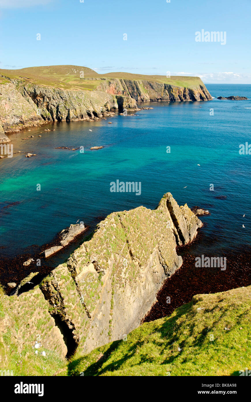 Côte de Fair Isle, Shetland, Écosse, Royaume-Uni, Europe Banque D'Images