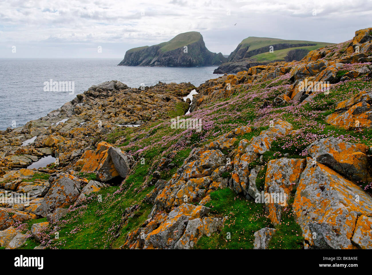 Vue sur le rocher du mouton à Buness, South Haven, Fair Isle, Shetland, Écosse, Royaume-Uni, Europe Banque D'Images