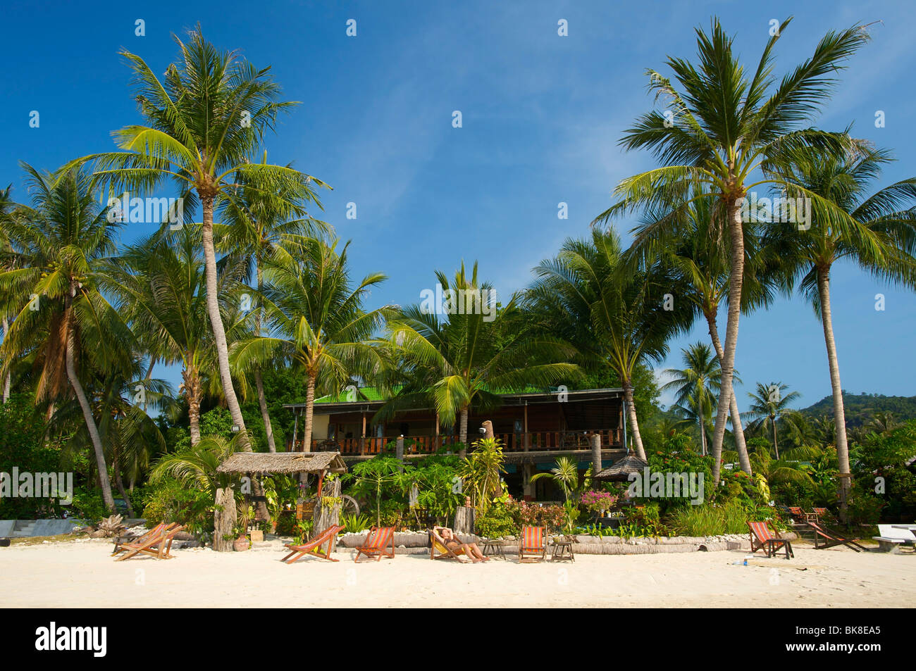 La plage de Lamai, l'île de Ko Samui, Thaïlande, Asie Banque D'Images