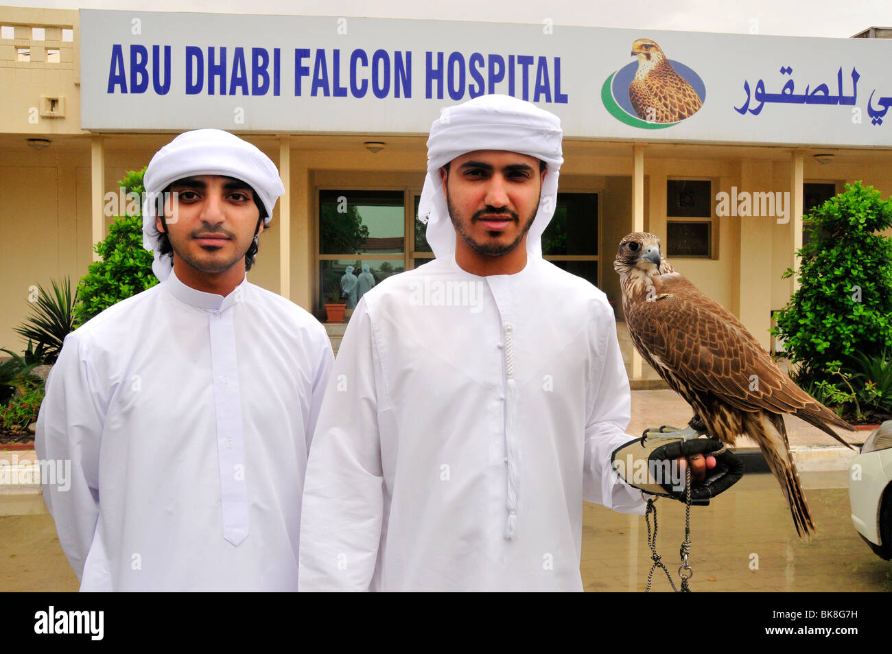 Deux sections locales avec leurs pèlerins à l'hôpital, Falcon Abu Dhabi Abu Dhabi, Émirats arabes unis, France, Moyen Orient, Orient Banque D'Images