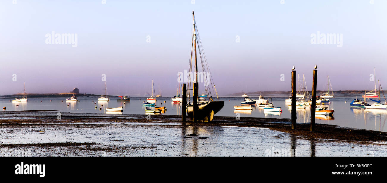Bateaux amarrés à WEST MERSEA TÔT LE MATIN À marée basse Banque D'Images