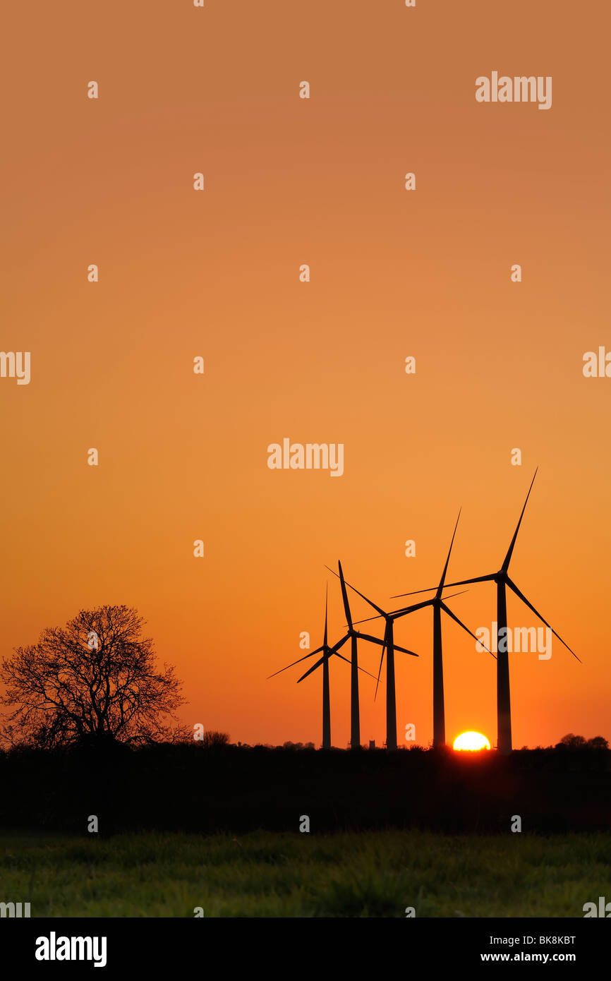 Éoliennes au coucher du soleil Banque D'Images