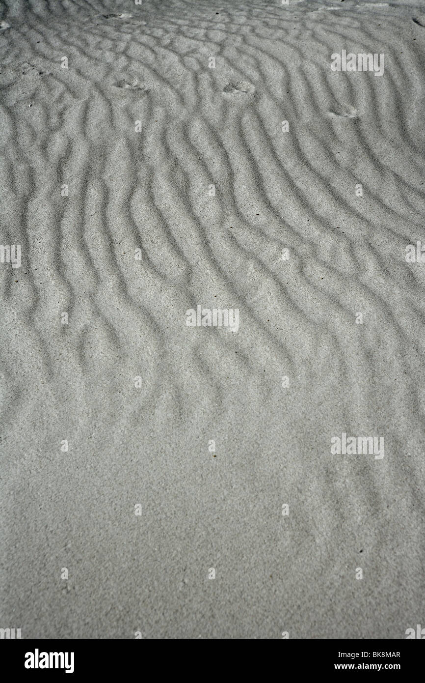Testure vagues de sable sur sable blanc comme desert Banque D'Images
