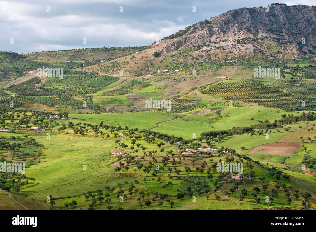 Campagne marocaine et du Moyen Atlas en vu de Fes Maroc Banque D'Images