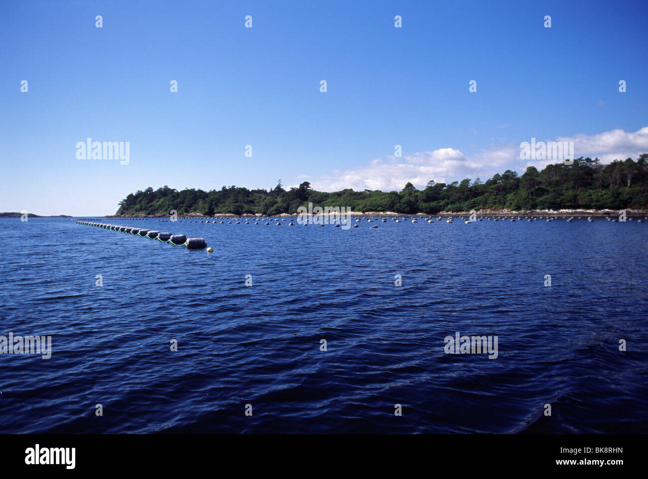 La côte atlantique près de la ville de Sneem, vu depuis un bateau (comté de Kerry, en Irlande, en septembre 2009) Banque D'Images