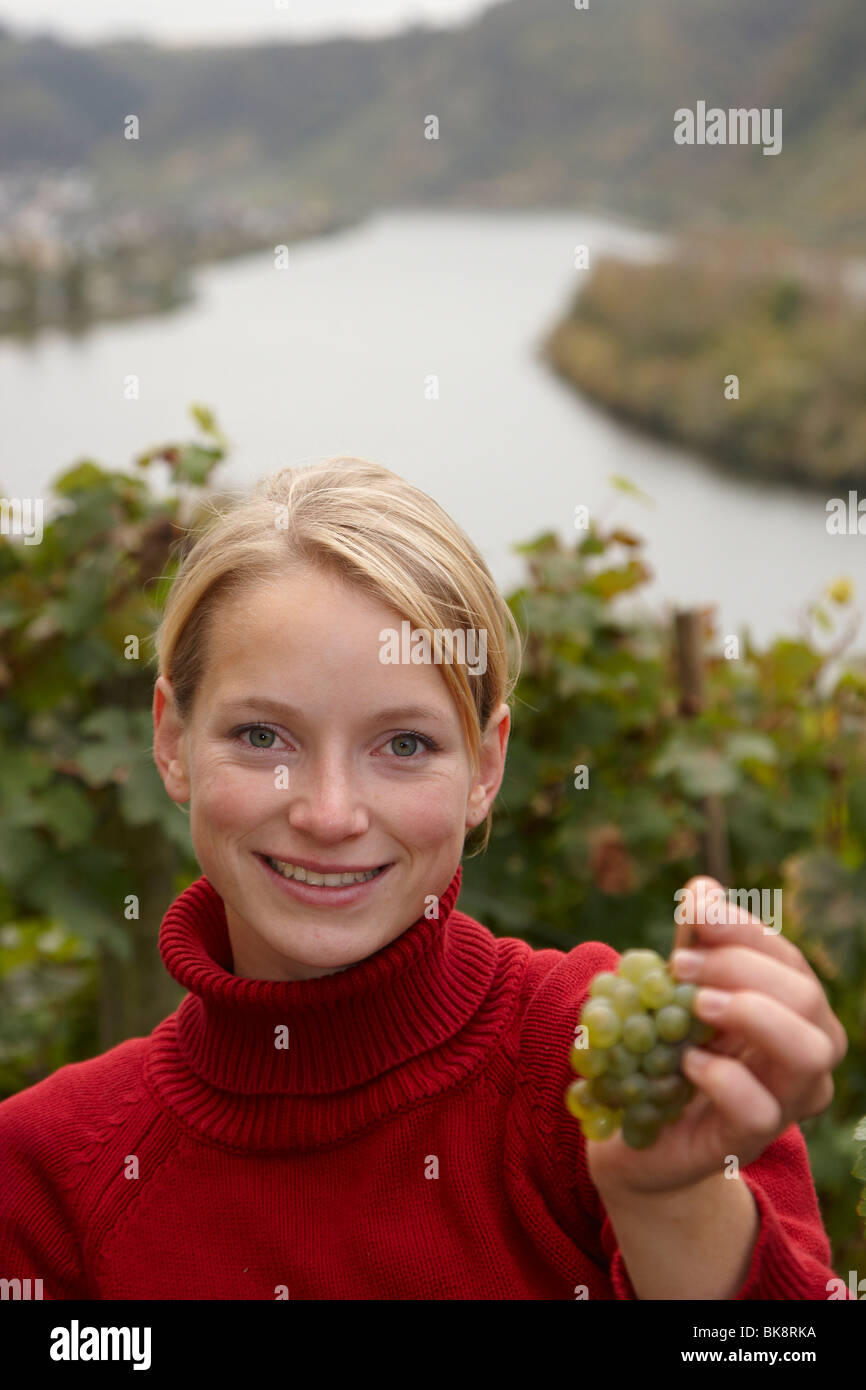 Le vin allemand la reine Sonja Christ à la vendange dans le vignoble familial près de Oberfell, sur la Moselle, Rhin, Oberfell Banque D'Images