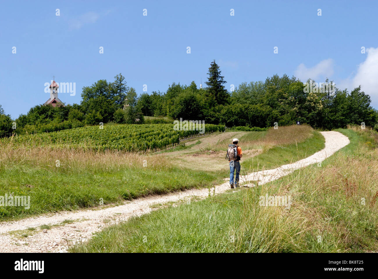 Route de Saint Jacques de Compostelle à Jongieux-le-Haut (73) : Banque D'Images