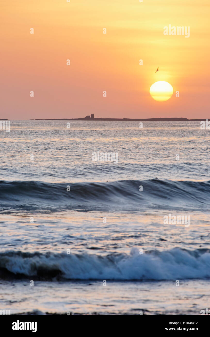 Les îles Farne au lever du soleil. Vu de Lunteren, Northumberland, England, UK. Banque D'Images