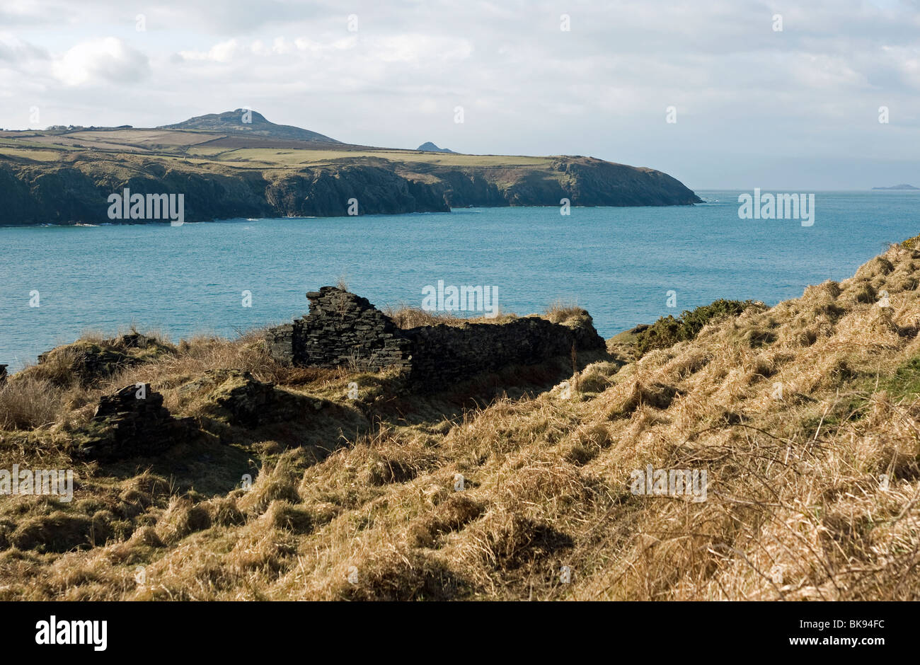 Vue depuis la falaise dominant Abereiddy dans l'ouest du pays de Galles Pembrokeshire Banque D'Images