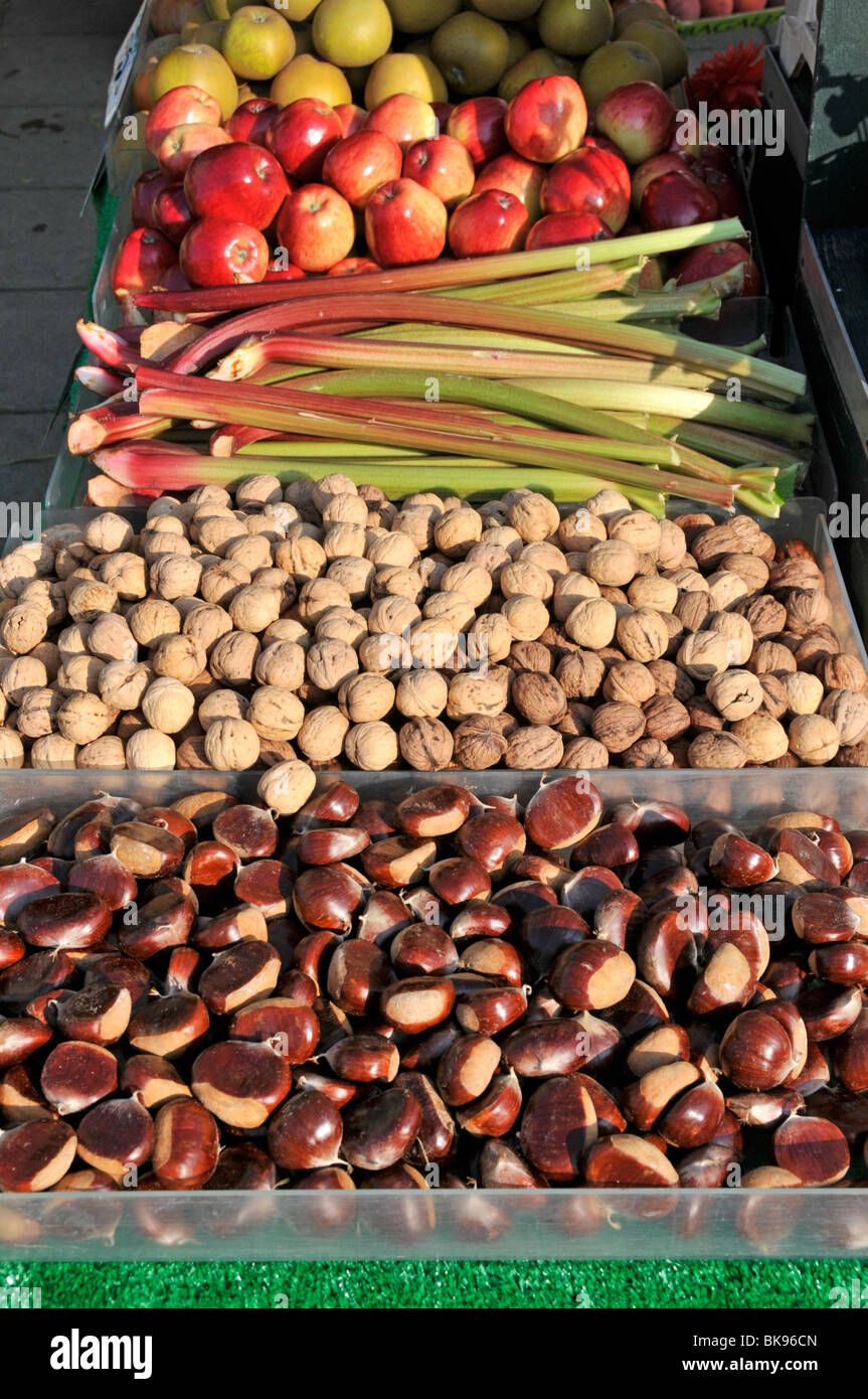 Close up de jardiniers shop en plein air des boîtes de châtaignes et noix en vrac avec des bâtons de rhubarbe & pommes mûres England UK Banque D'Images