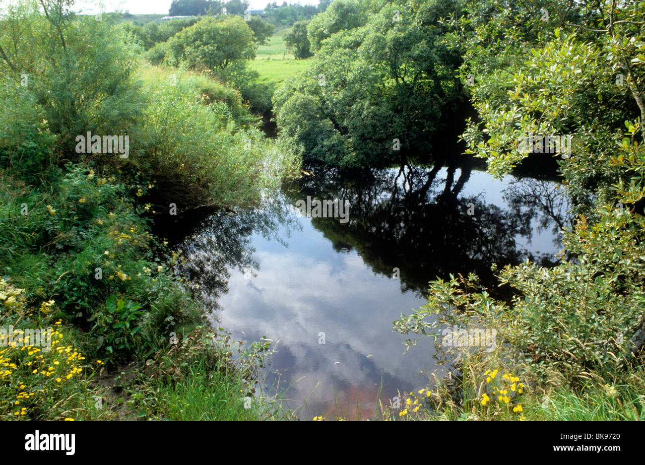 Shannon Pot, source de rivière Shannon, comté de Cavan Irlande Eire rivières irlandais Banque D'Images