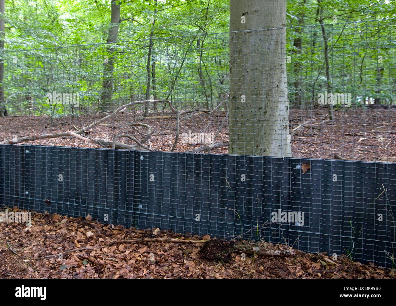 Une clôture pour protéger les petits mammifères et amfibians Banque D'Images