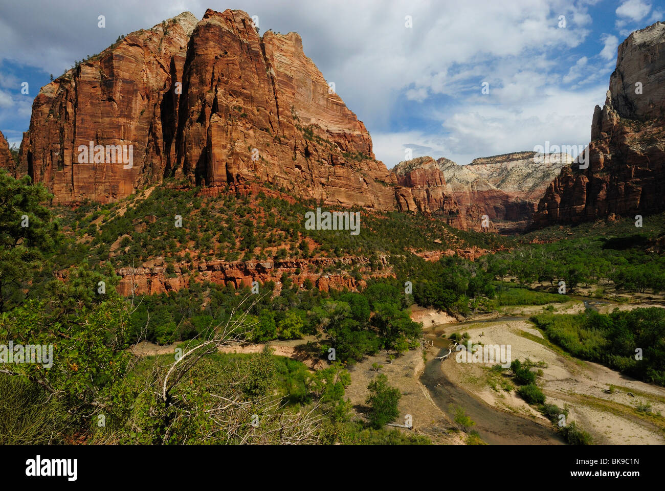 Vue panoramique sur Emerald Pools dans Zion National Park, Utah, USA Banque D'Images