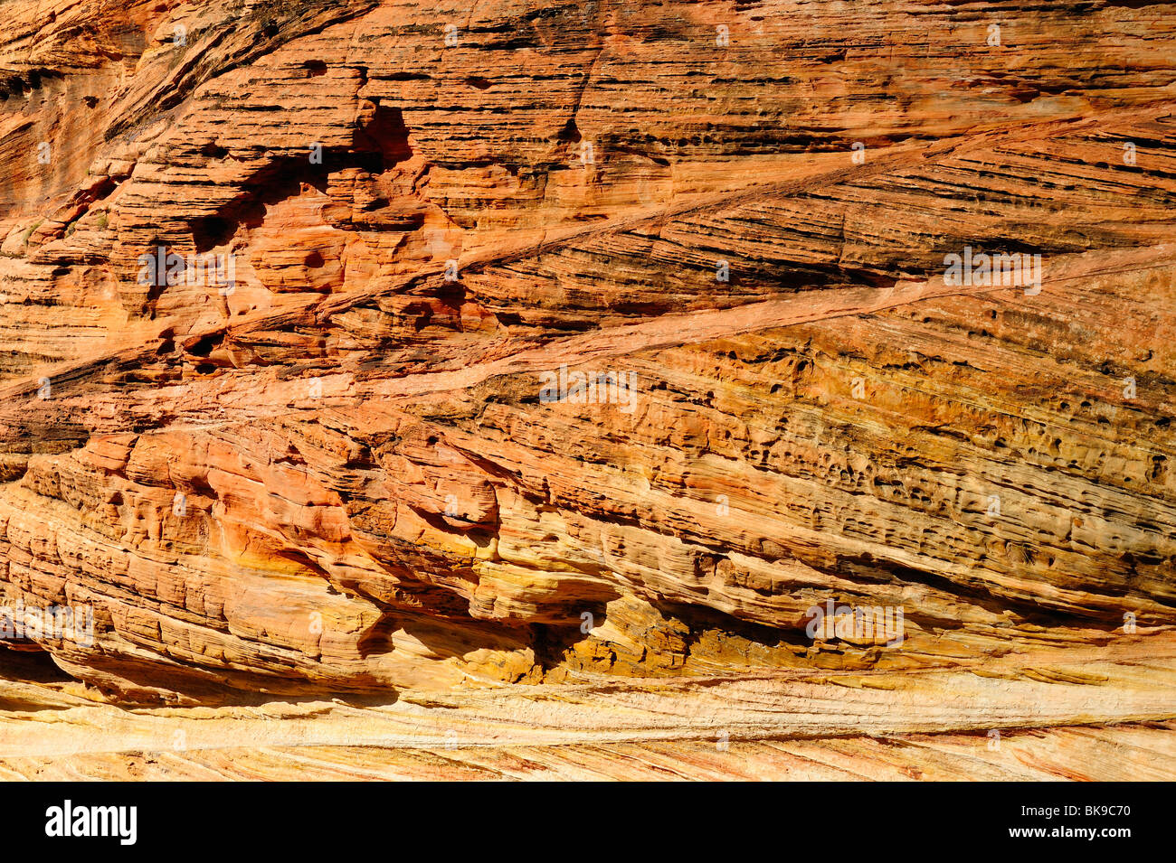 Falaise sur la façon de point d'observation dans la région de Zion National Park, Utah, USA Banque D'Images