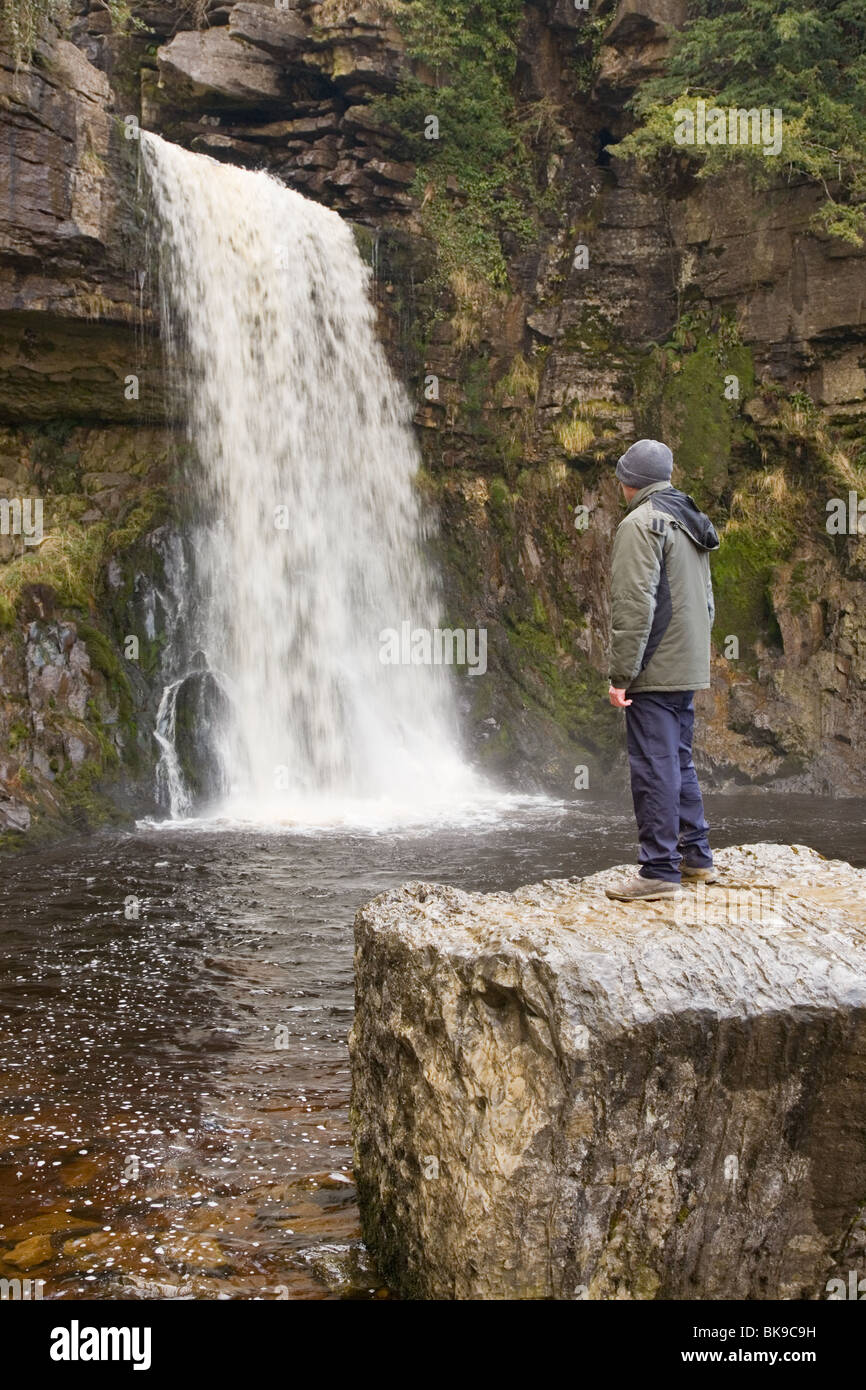 Une marchette à admirer la vue de Thornton vigueur Cascade, sur le pied des chutes d'Ingleton, Ribblesdale, vallées du Yorkshire, UK Banque D'Images