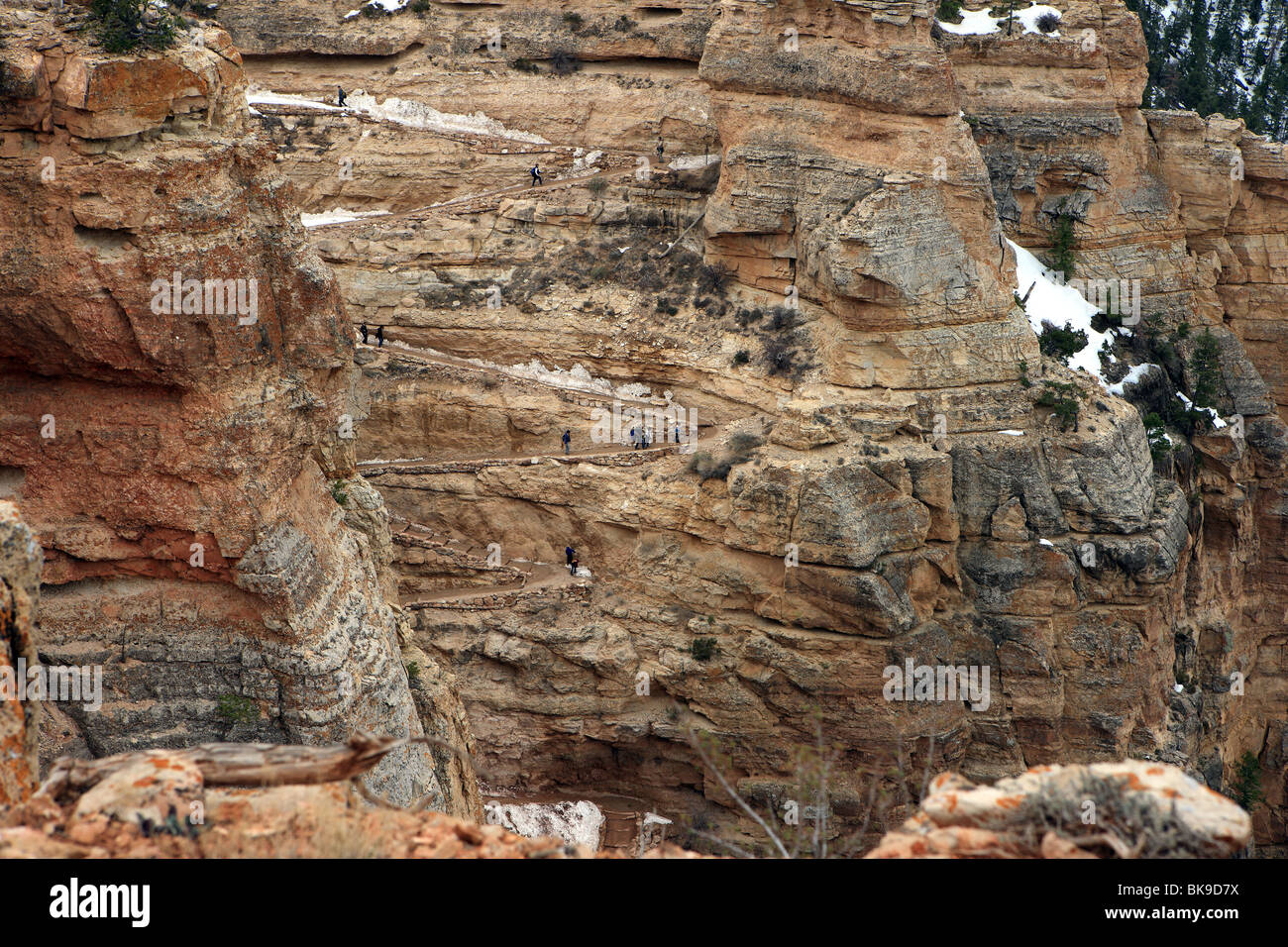 Randonneurs sur le sentier Kaibab dans le Grand Canyon National Park Arizona USA Banque D'Images