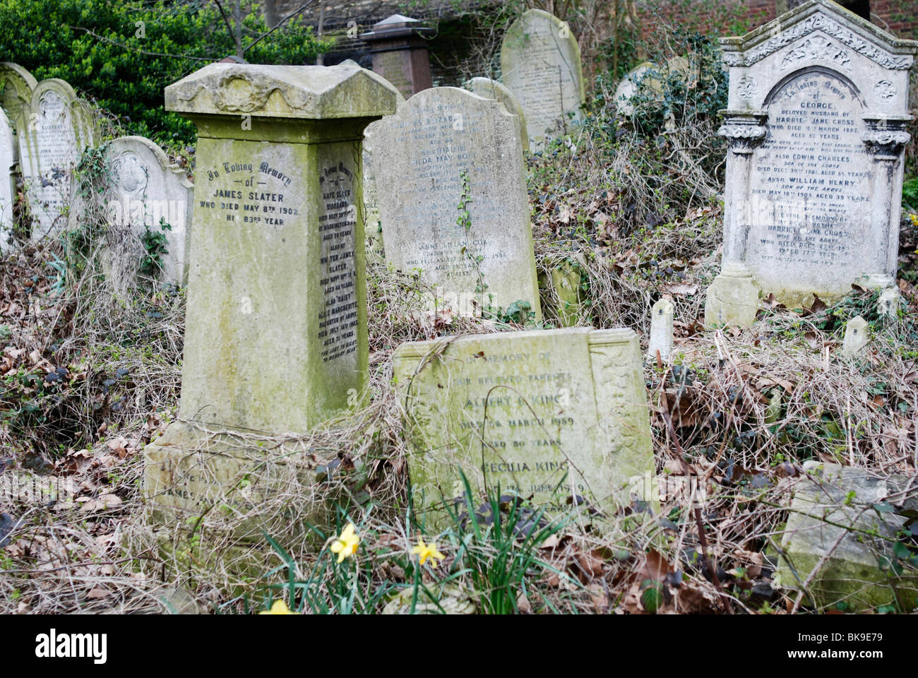 Abney Park Cemetery, Londres, Stoke Newington Banque D'Images