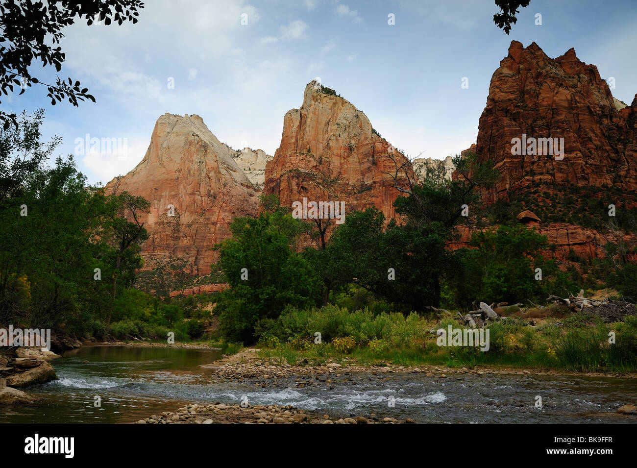 Vue panoramique sur la Cour des patriarches à Zion National Park, Utah, USA Banque D'Images