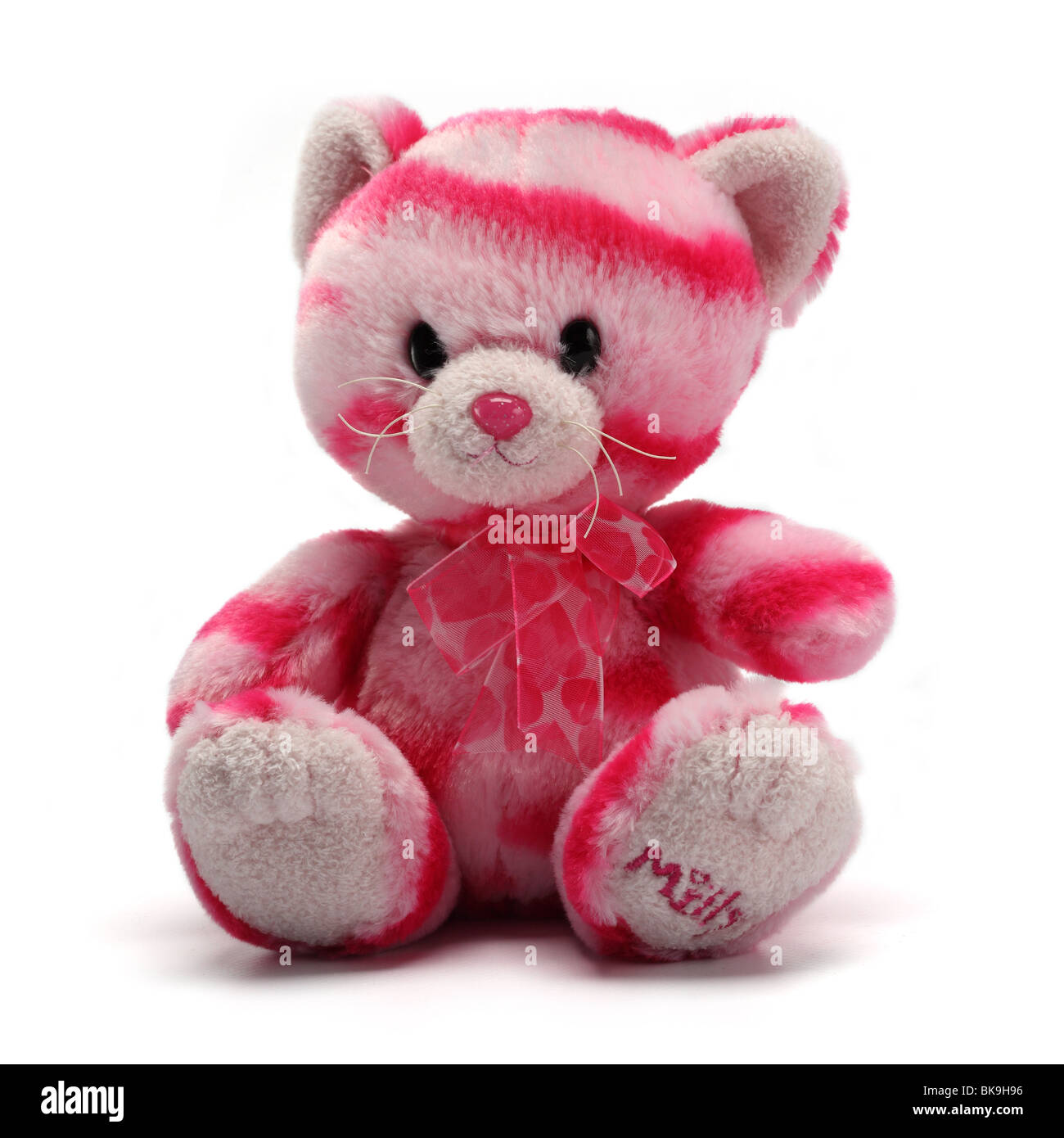 Peluche peluche chat Banque D'Images