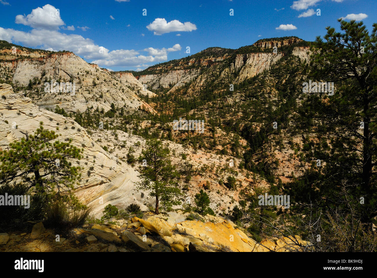 Vue panoramique sur le Canyon Zion de point d'observation dans la région de Zion National Park, Utah, USA Banque D'Images