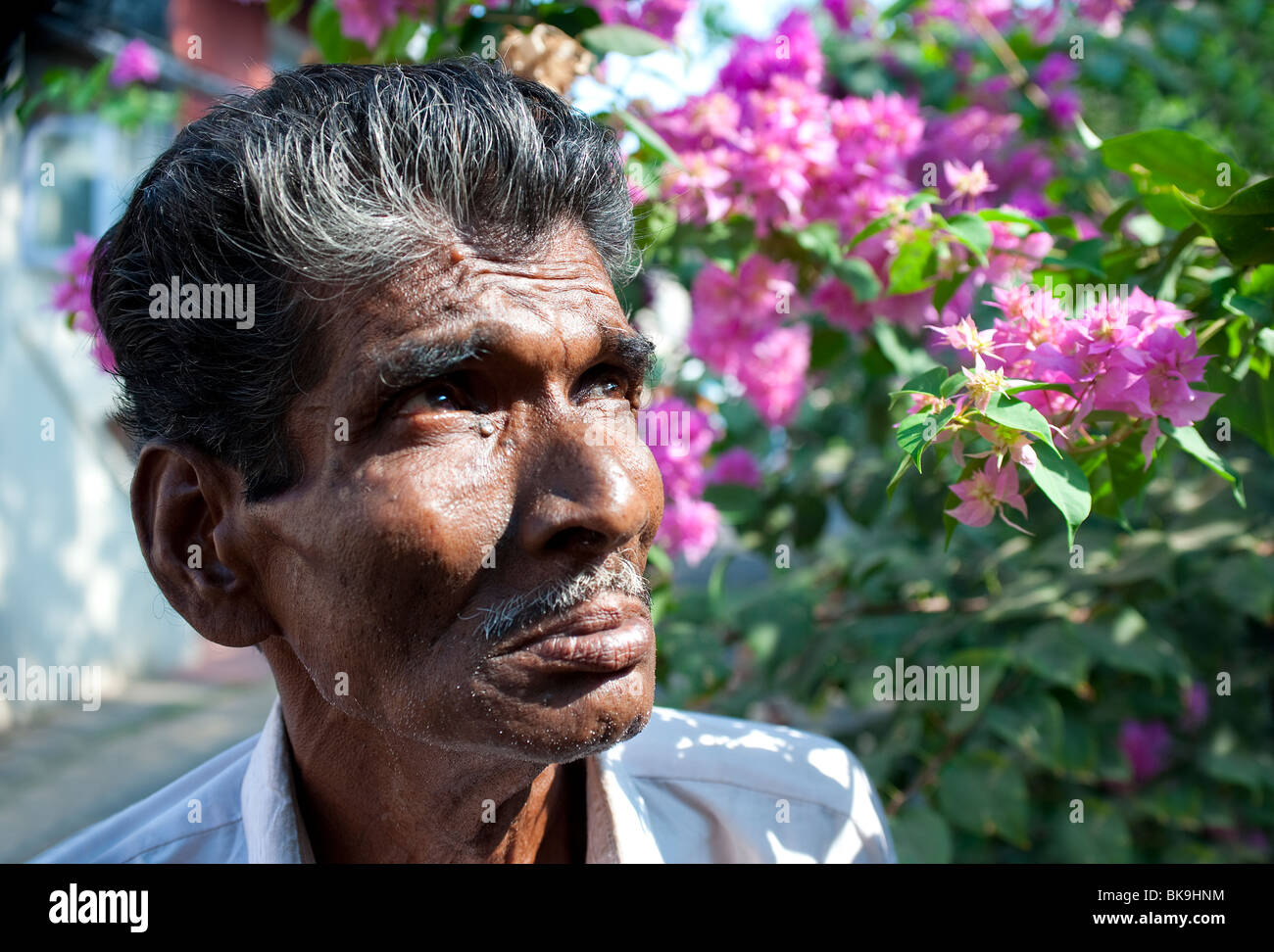 Homme de la région, fort Cochin, Kerala, Inde Banque D'Images